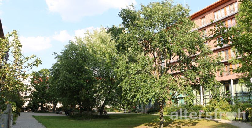 Der Garten des Hauses 32 der Seniorenstiftung Prenzlauer Berg in Berlin