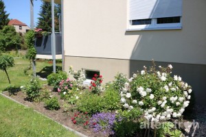 Blumenbeet, DSG Pflegewohnstift Babelsberg in Potsdam