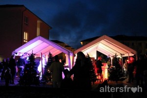 Märchenwald 2015 im Pflegewohnstift Hönow