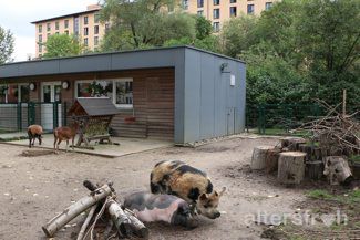 Tierhaus in der Seniorenstiftung Prenzlauer Berg Haus 32 in Berlin