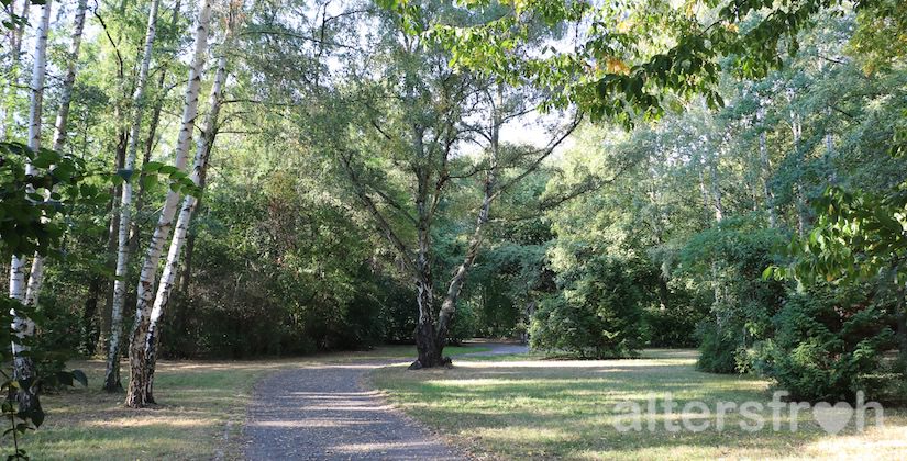 Angrenzender Park am Vitanas Senioren Centrum Rosengarten in Berlin Lankwitz