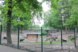 Bürgerpark Ziegen, Seniorenresidenz Haus Pankow in Berlin