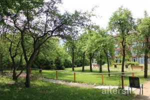 Alter Baumbestand, Seniorenresidenz Haus Pankow in Berlin