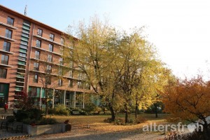Herbstlicher Garten, Seniorenstiftung Prenzlauer Berg Haus 32 in Berlin