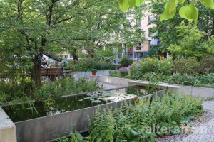 Gartenteich, Seniorenstiftung Prenzlauer Berg Haus 32 in Berlin