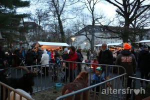 Besucher beim Adventsbasar im Vitanas Senioren Centrum Am Stadtpark in Berlin
