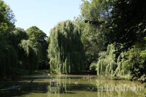 Seeblick, Vitanas Senioren Centrum Am Stadtpark in Berlin Steglitz-Zehlendorf